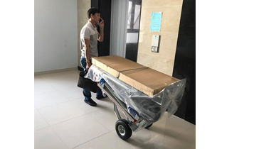 Xe đẩy hàng công nghiệp 2 bánh