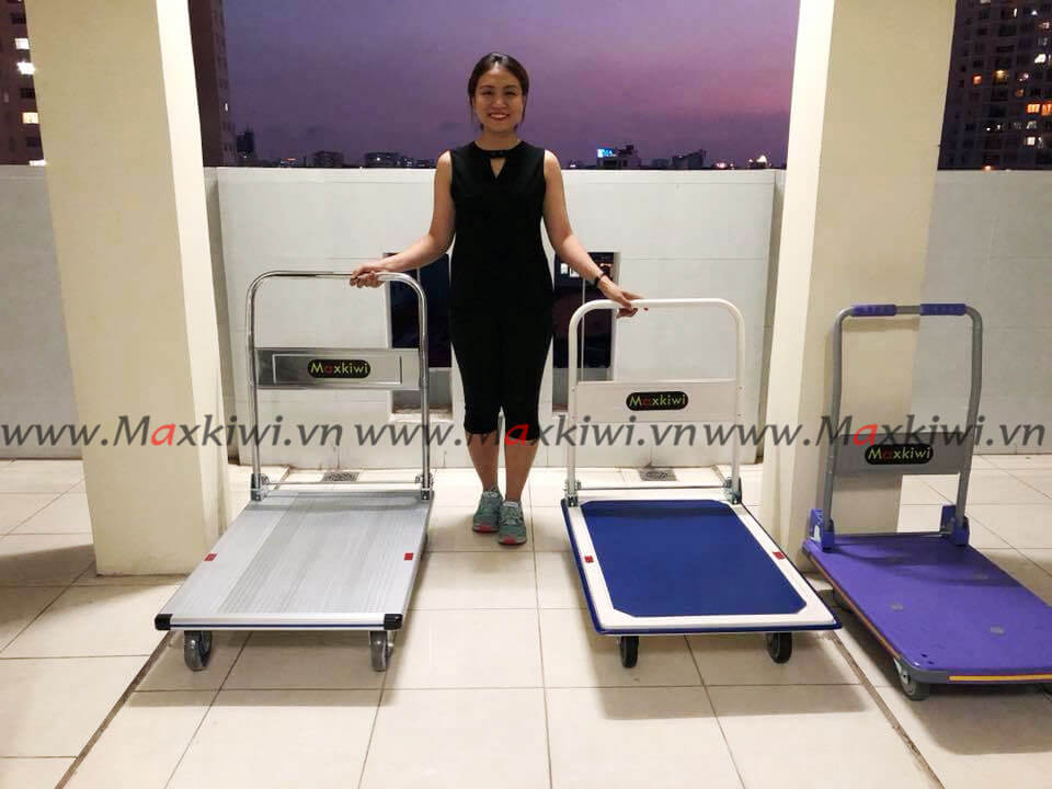 Sản phẩm xe kéo hàng bằng tay